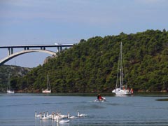 Program Skradin