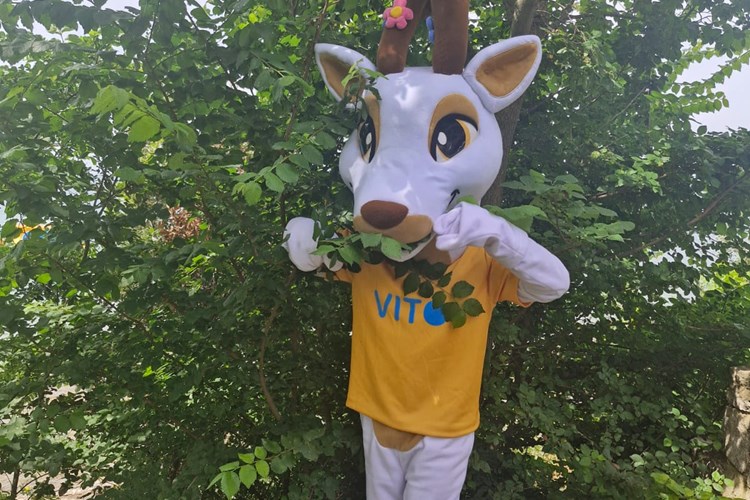 VITO kamp, Crikvenica