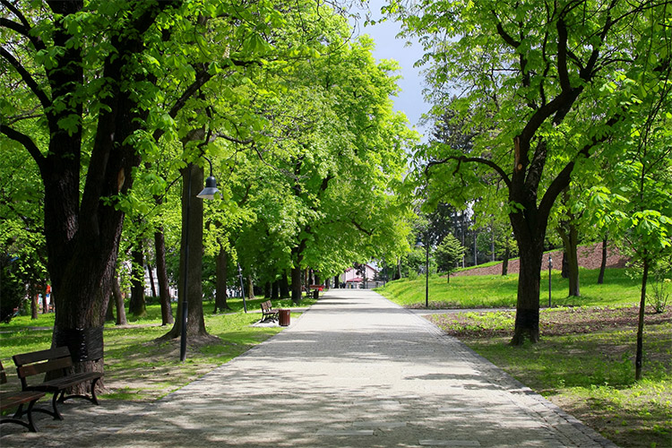 Hostel Grad mladih in Zagreb
